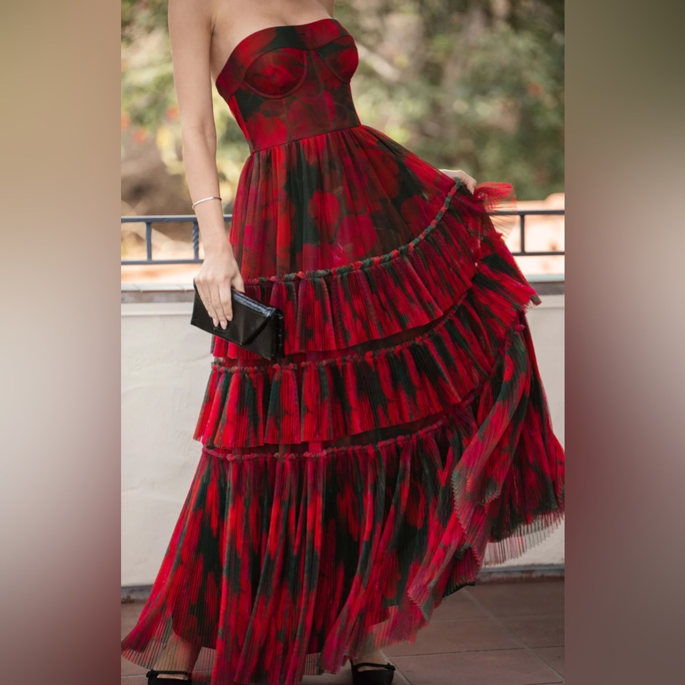 Hutch Isabella Strapless Tiered Tulle Maxi Dress - Picture 10 of 10